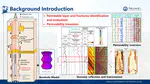 Stoneley wave reflection and transmission across permeable formations and fractured zones：Comparison of analytical and numerical modeling results